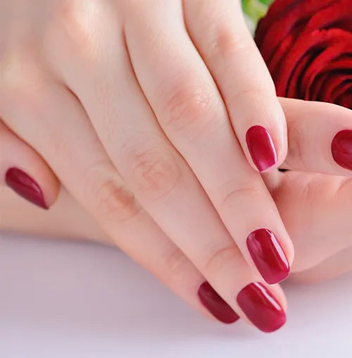 Close-up of hands with manicured nails painted in glossy red polish. The hands rest on each other against a white background, with a red rose partially visible nearby.