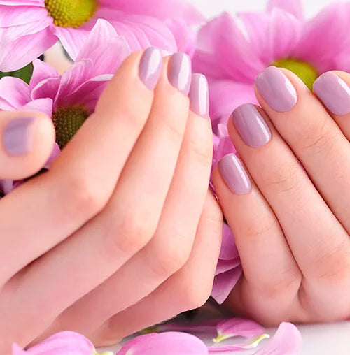 Two hands with neatly manicured nails painted in a lavender shade are positioned in front of bright pink daisy-like flowers. The image showcases the nails and the vibrant petals in close-up detail.