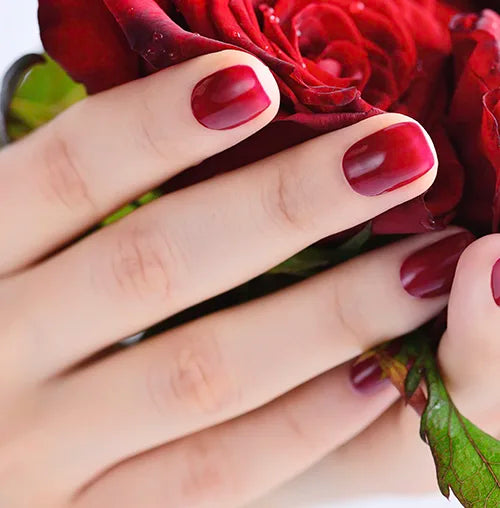 Close-up of a hand with perfectly manicured red nails gently holding a vibrant red rose. The petals are rich in color and the green leaves are visible, complementing the elegant and romantic theme.