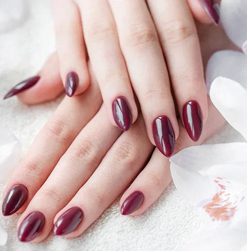 Hands with neatly manicured nails painted in glossy maroon, resting on a soft white surface surrounded by white petals.